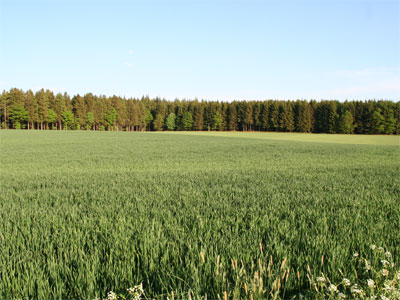 Solarplanungen, Solaranlage, Solarzelle 