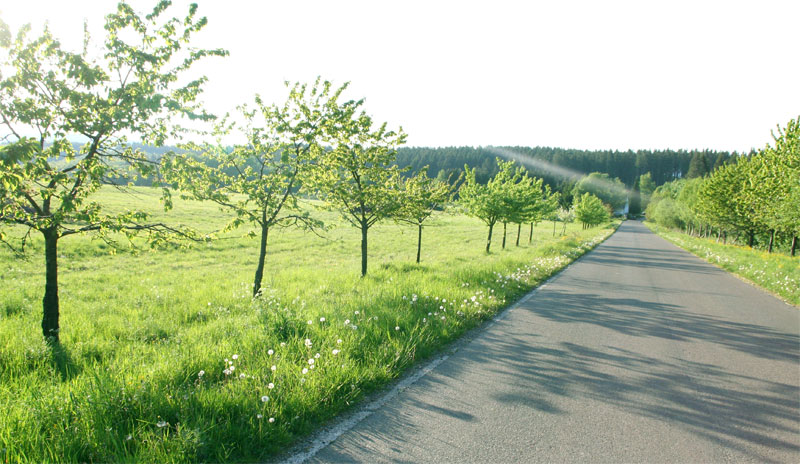 Sonnenfächer, Solaranlagen, Solarzellen 